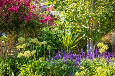 Property photo of 77 Surf Circle Tura Beach NSW 2548