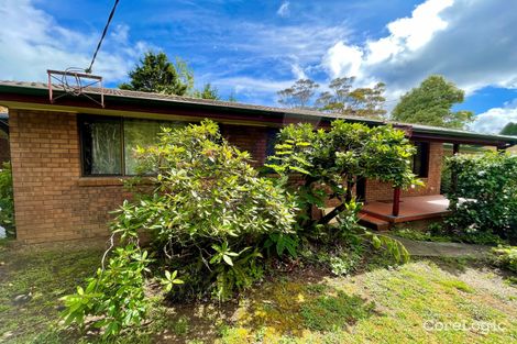 Property photo of 55 Yanko Avenue Wentworth Falls NSW 2782