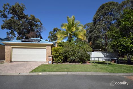 Property photo of 24 Fiddlewood Place Reedy Creek QLD 4227