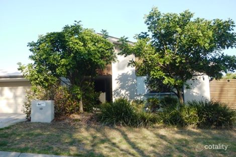 Property photo of 10 Dundee Crescent Wakerley QLD 4154