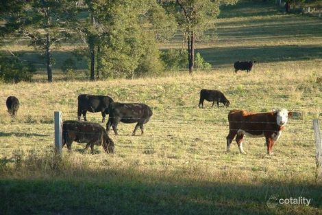 Property photo of 466 Upper Rollands Plains Road Upper Rollands Plains NSW 2441