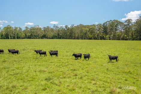 Lot 2 Upper Smiths Creek Rd, Kundabung, NSW 2441