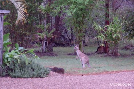 Property photo of LOT 17 Pound Road Cooktown QLD 4895