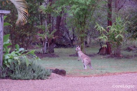 Property photo of LOT 1 Pound Road Cooktown QLD 4895