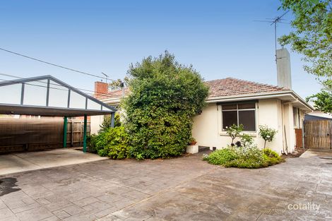 17 Conifer St, Hampton, VIC 3188