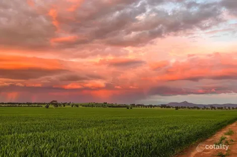 2294 Lockhart The Rock Rd, French Park, NSW 2655