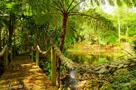 13 Brigadoon Ct, Flaxton, QLD 4560