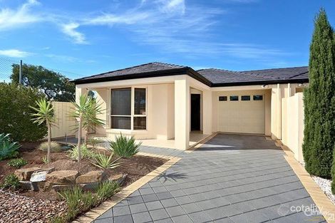 6a Pine Ave, Warradale, SA 5046