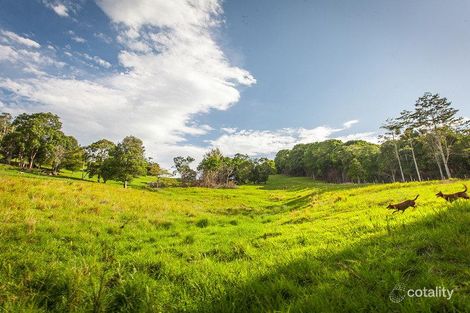 Property photo of 191 Sheaffes Road Goonengerry NSW 2482