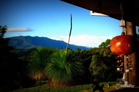 Property photo of 695 Darkwood Road Thora NSW 2454