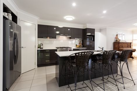 Property photo of 23 Water Lily Way Mountain Creek QLD 4557