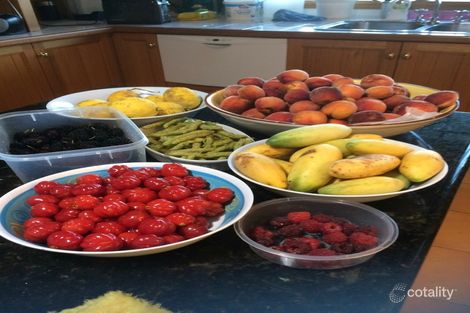 859 Little Bunyah Rd, Bucca Wauka, NSW 2429