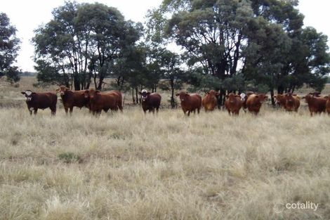 Lot 8 Butlers Rd, Miles, QLD 4415