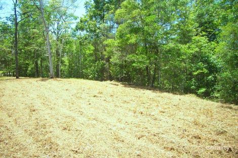 Property photo of 81-85 Jocelyn Drive Eumundi QLD 4562