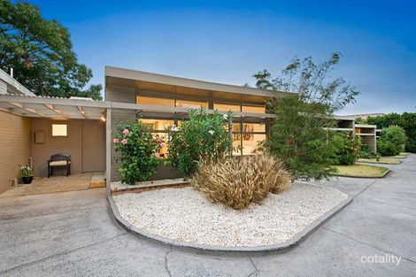 6/249 New St, Brighton, VIC 3186