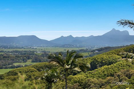 Property photo of 4 Figtree Road Terranora NSW 2486