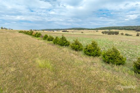 Property photo of Peabody Road Molong NSW 2866