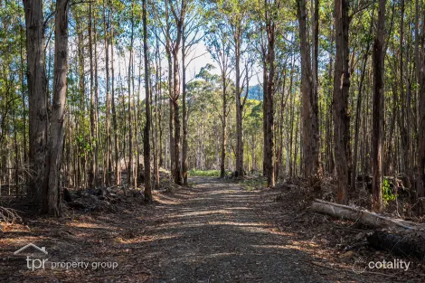 Property photo of 174 Middle Road Pelverata TAS 7150