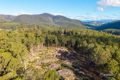 Property photo of 174 Middle Road Pelverata TAS 7150