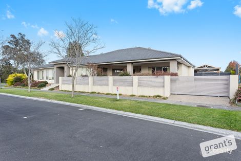 51 The Esplanade, Narre Warren South, VIC 3805