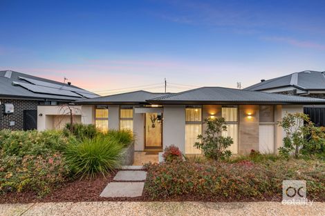 Property photo of 13 Buchanan Drive Woodforde SA 5072