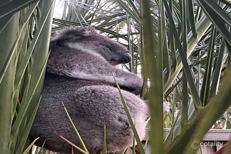 Property photo of 206 Jetty Road Rosebud VIC 3939