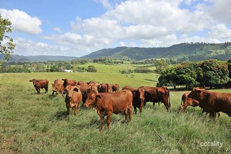 Property photo of 430 Mount Pleasant Road Mount Pleasant QLD 4521