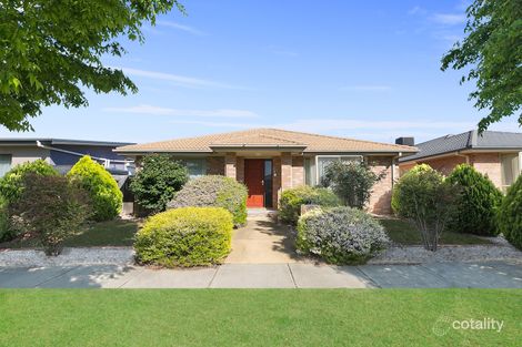 Property photo of 11 Burchill Lane Franklin ACT 2913