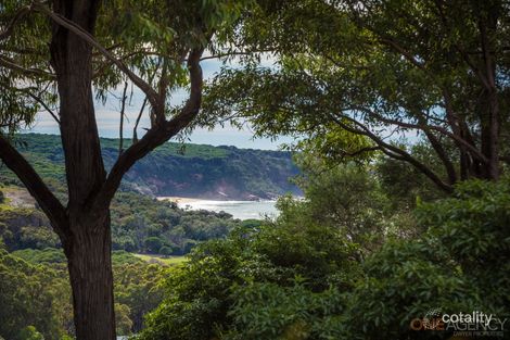 Property photo of 71 Surf Circle Tura Beach NSW 2548