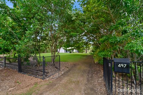 Property photo of 497 Forestry Road Bluewater Park QLD 4818