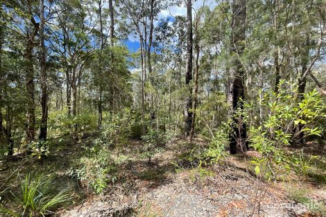 Property photo of 301 Glen Innes Road North Arm Cove NSW 2324