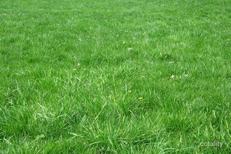 1 Broadview Tce, Lysterfield, VIC 3156