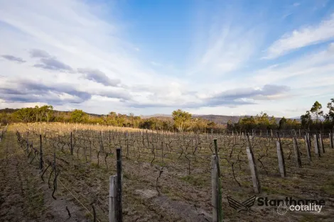 Property photo of 2271 Eukey Road Ballandean QLD 4382