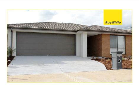 Property photo of 64 Grassbird Drive Point Cook VIC 3030