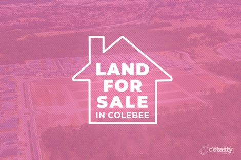 Property photo of 1 Treberth Street Colebee NSW 2761