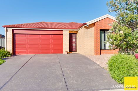 Property photo of 9 Clematis Crescent Manor Lakes VIC 3024