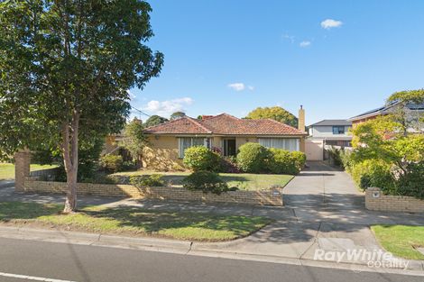 144 Wanda St, Mulgrave, VIC 3170