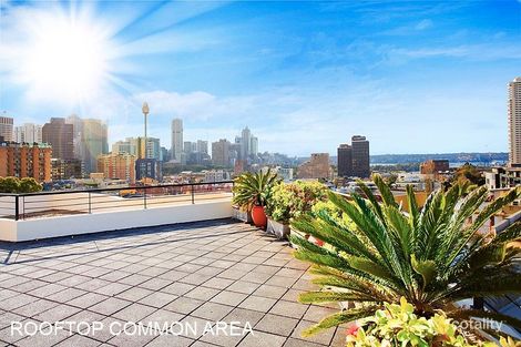 Property photo of 209/200 Campbell Street Darlinghurst NSW 2010
