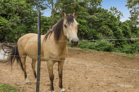 Property photo of 816 Upper Ormeau Road Kingsholme QLD 4208