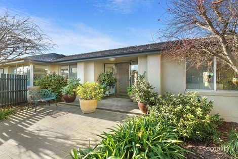 Property photo of 77 Shumack Street Weetangera ACT 2614