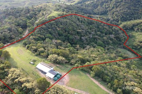 114 Bee Creek Rd, Eungella, QLD 4757