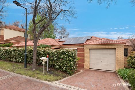 5 Peppermint Gr, Box Hill South, VIC 3128