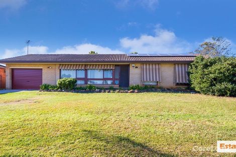 Property photo of 6 Kitson Place Minto NSW 2566