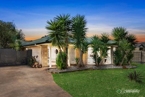 Property photo of 15 Robin Hill Drive Mornington VIC 3931