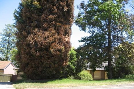 6 Grevillea Dr, Banksia Park, SA 5091