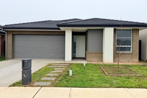 36 Risely Rd, Clyde North, VIC 3978