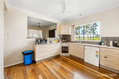 Property photo of 563 Stockroute Road Palmyra QLD 4751