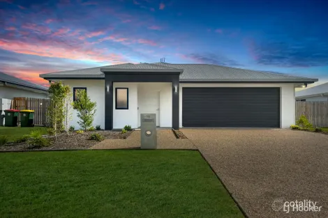 Property photo of 19 Pepperbush Circuit Mount Low QLD 4818