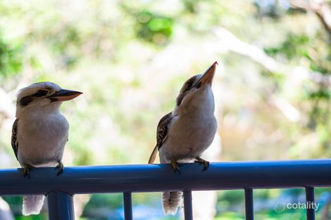 27/40 Teemangum St, Currumbin, QLD 4223