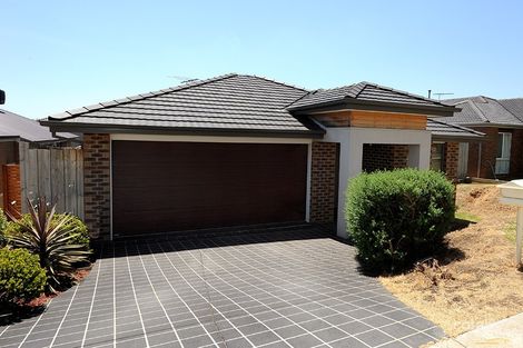 Property photo of 46A Golf Links Road Berwick VIC 3806